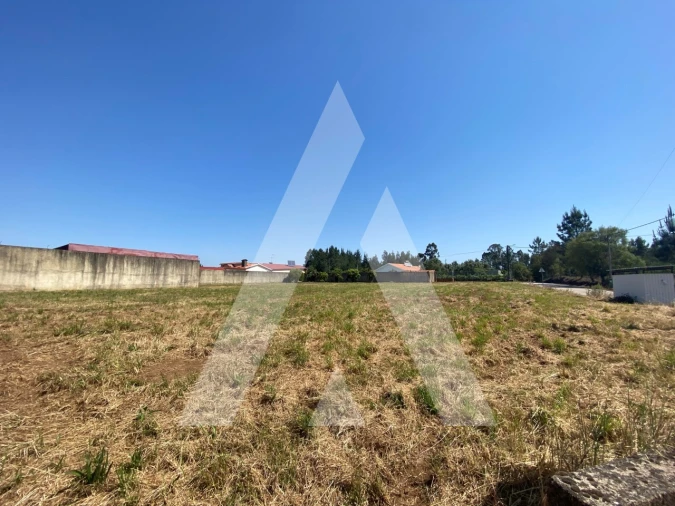 Terreno para Venda em Avelãs de Cima Foto 5