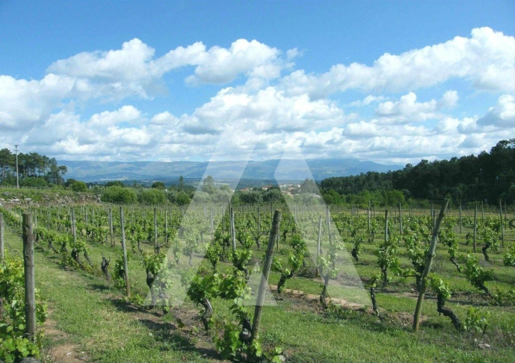 Terreno para Venda em Covões e Camarneira Foto 1