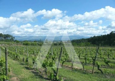 Terreno para Venda em Covões e Camarneira
