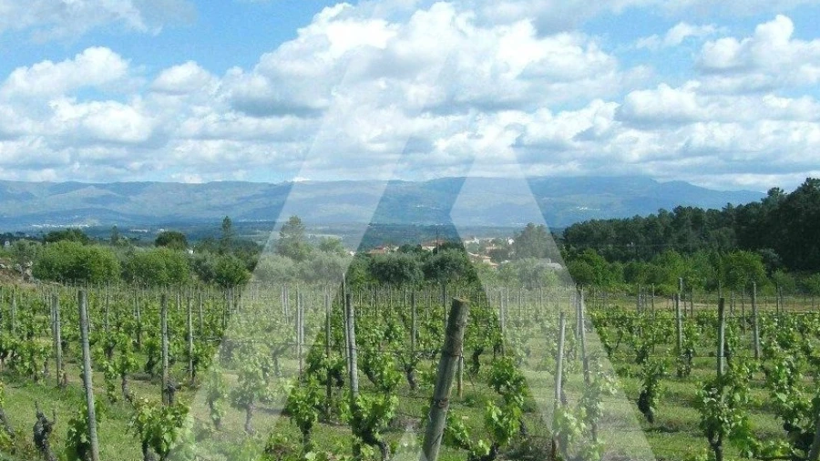 Terreno para Venda em Covões e Camarneira