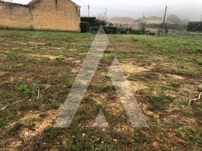 Terreno para Venda em Amoreira da Gândara, Paredes do Bairro e Ancas Foto 2