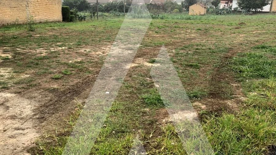 Terreno para Venda em Amoreira da Gândara, Paredes do Bairro e Ancas