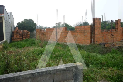 Terreno para Venda em Bustos, Troviscal e Mamarrosa