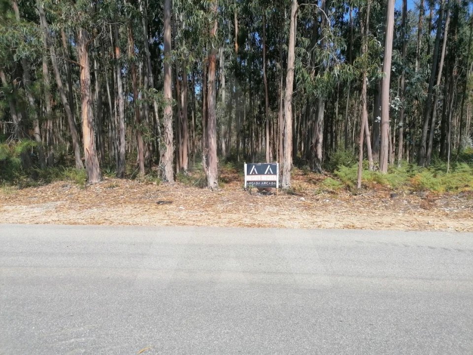 Terreno para Venda em Águeda e Borralha Foto 6