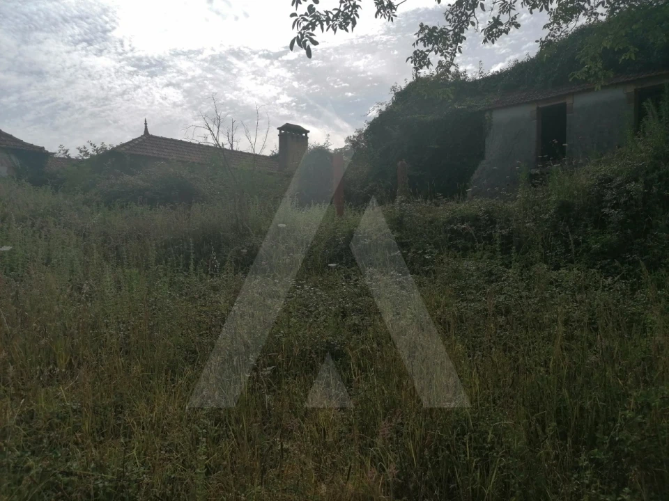 Terreno para Venda em Alquerubim Foto 1