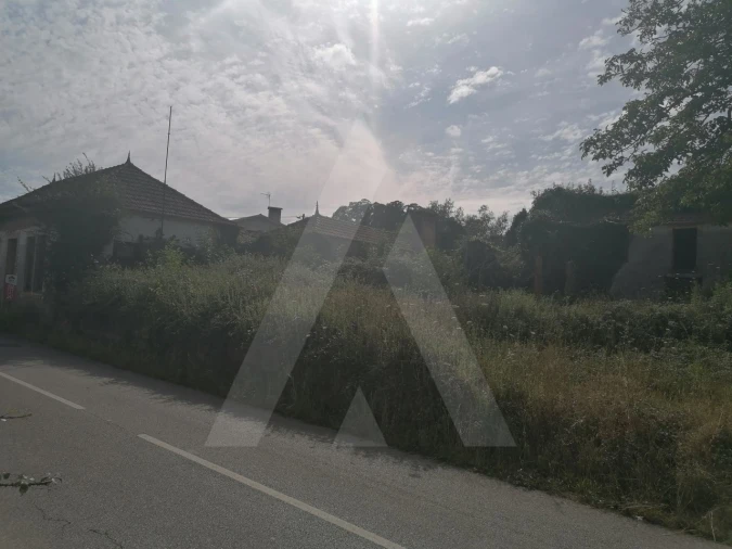 Terreno para Venda em Alquerubim Foto 6