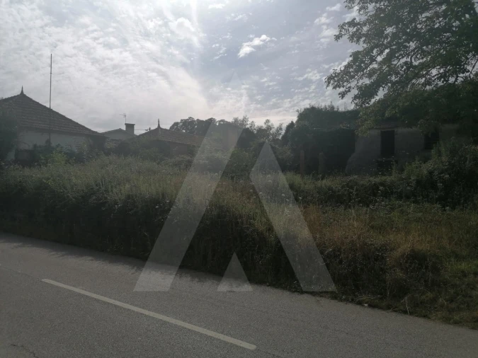 Terreno para Venda em Alquerubim Foto 7