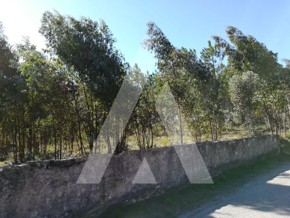 Terreno para Venda em Tamengos, Aguim e Óis do Bairro Foto 5