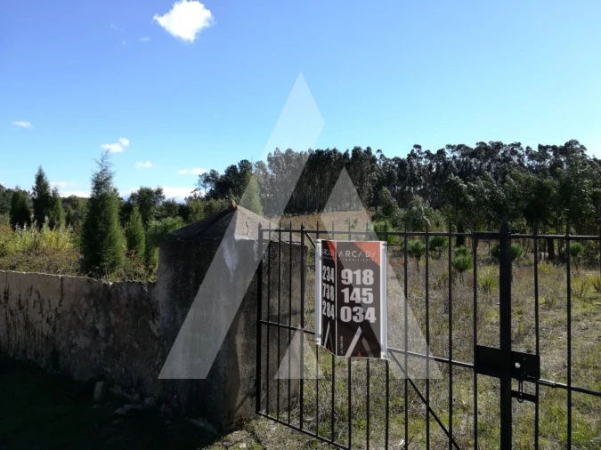 Terreno para Venda em Tamengos, Aguim e Óis do Bairro Foto 2