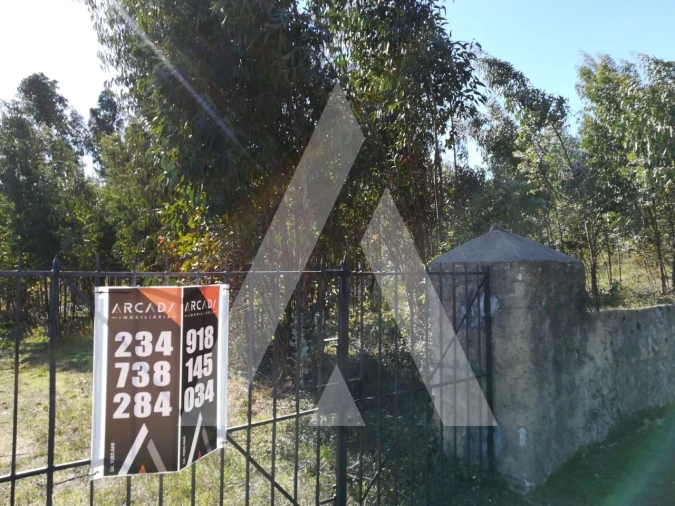 Terreno para Venda em Tamengos, Aguim e Óis do Bairro Foto 3