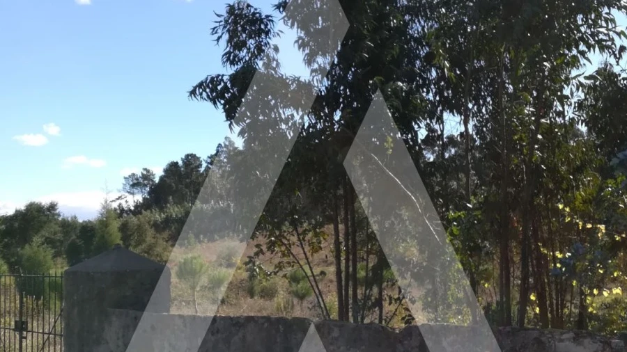 Terreno para Venda em Tamengos, Aguim e Óis do Bairro