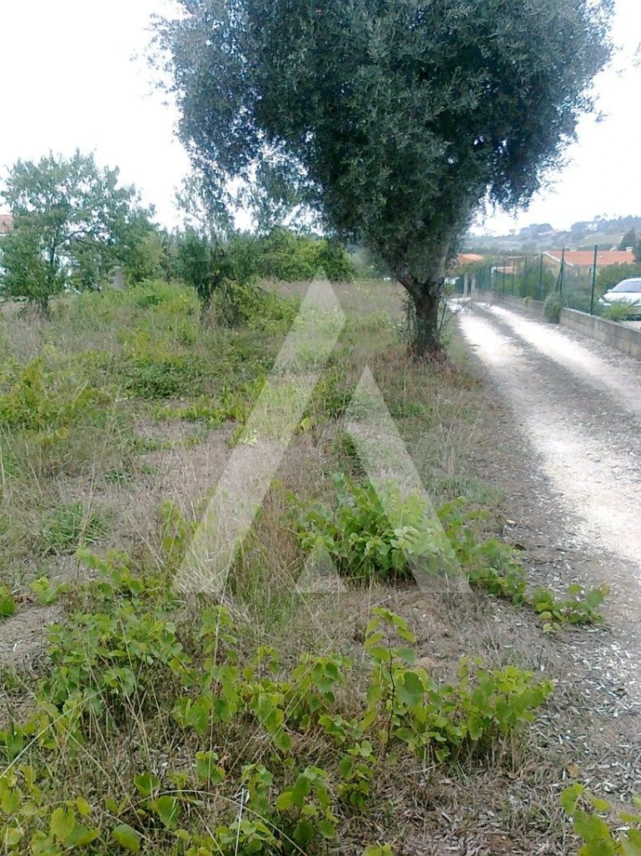 Terreno para Venda em Arcos e Mogofores Foto 2