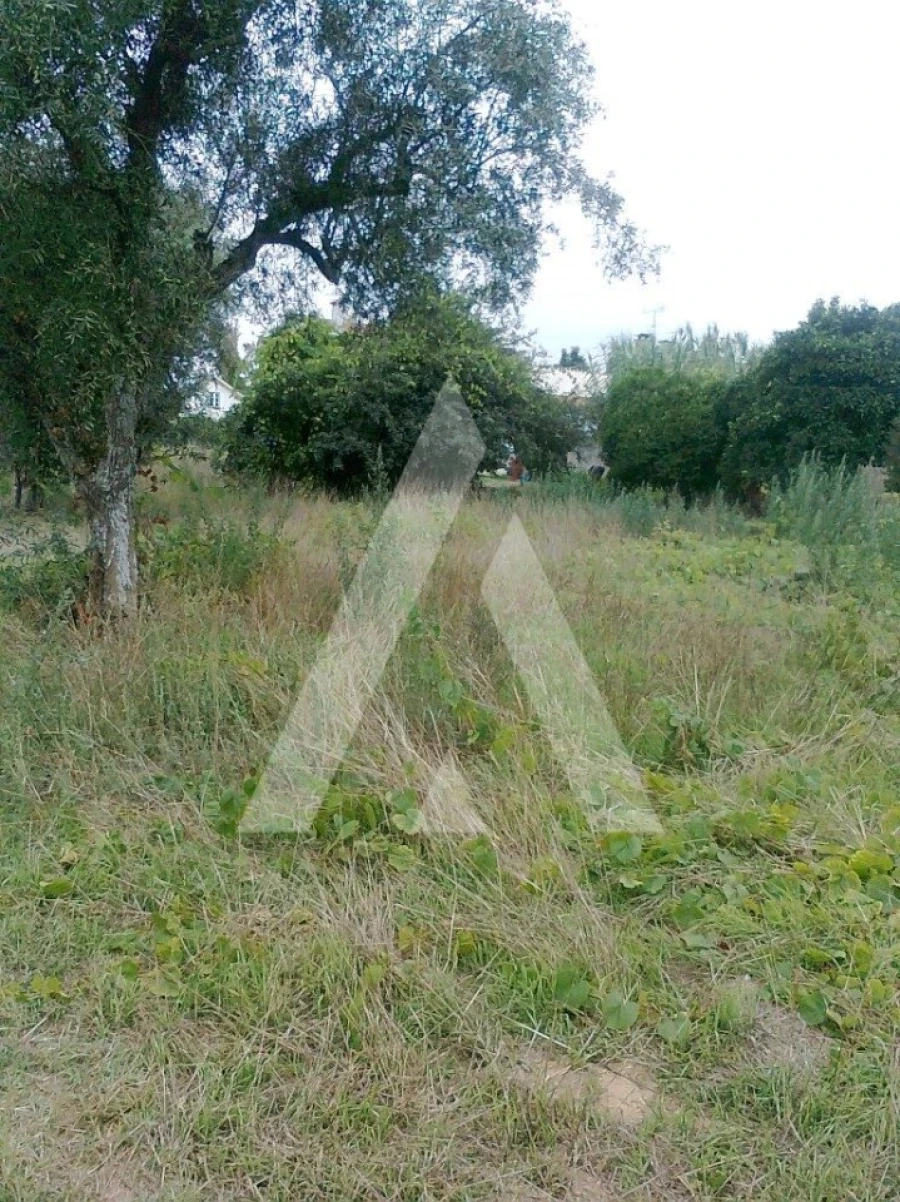 Terreno para Venda em Arcos e Mogofores Foto 3