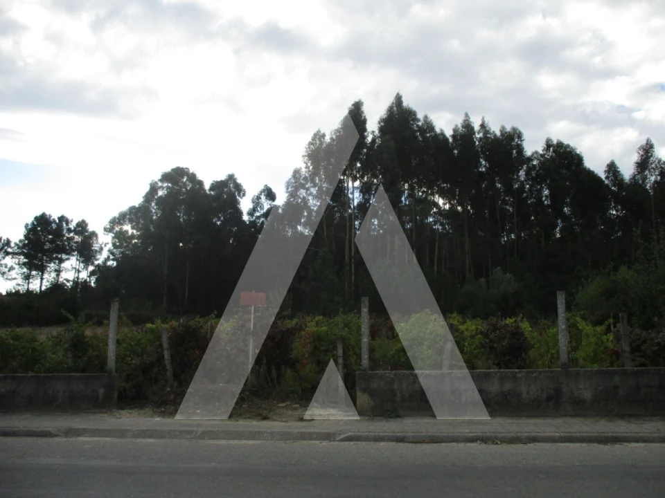 Terreno para Venda em Oliveira do Bairro Foto 1