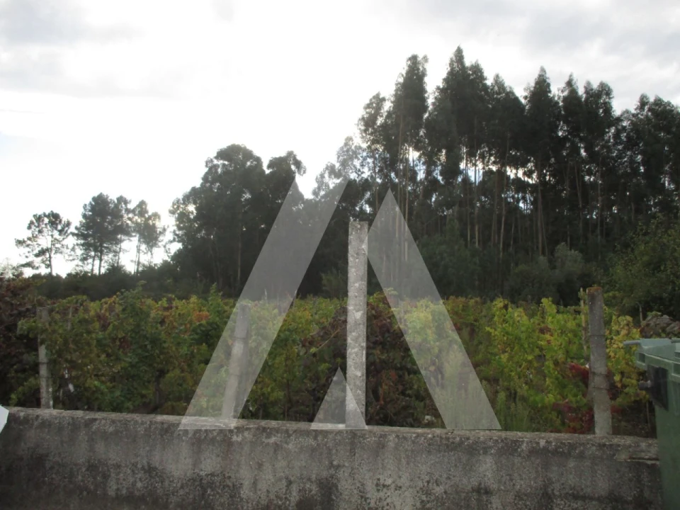 Terreno para Venda em Oliveira do Bairro Foto 3