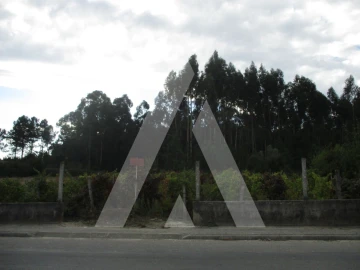 Terreno para Venda em Oliveira do Bairro