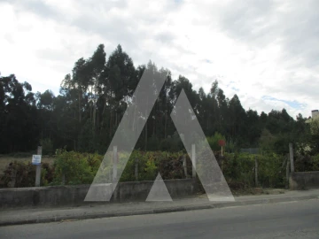 Terreno para Venda em Oliveira do Bairro