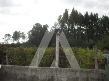 Terreno para Venda em Oliveira do Bairro