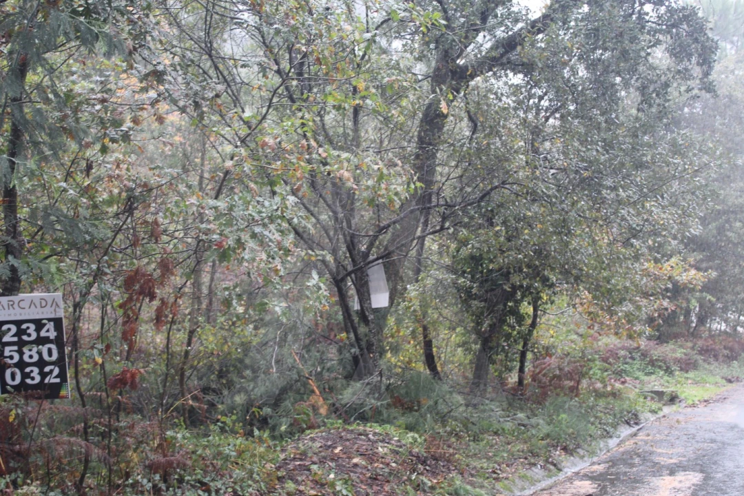 Terreno para Venda em Sever do Vouga Foto 4
