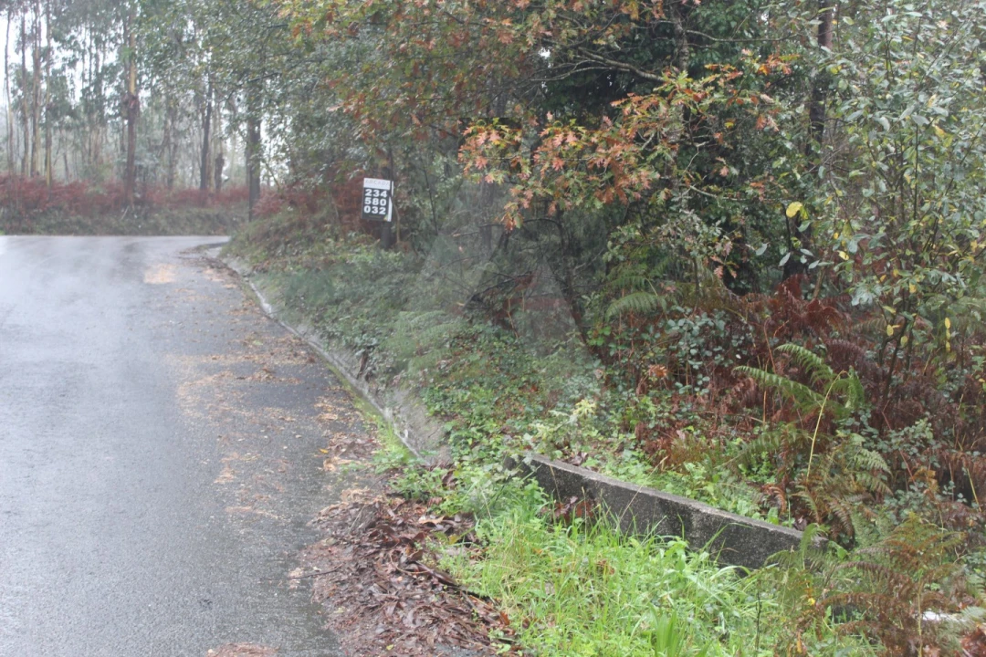 Terreno para Venda em Sever do Vouga Foto 6
