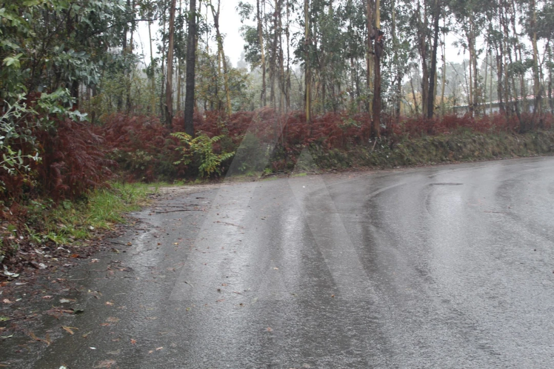 Terreno para Venda em Sever do Vouga Foto 9