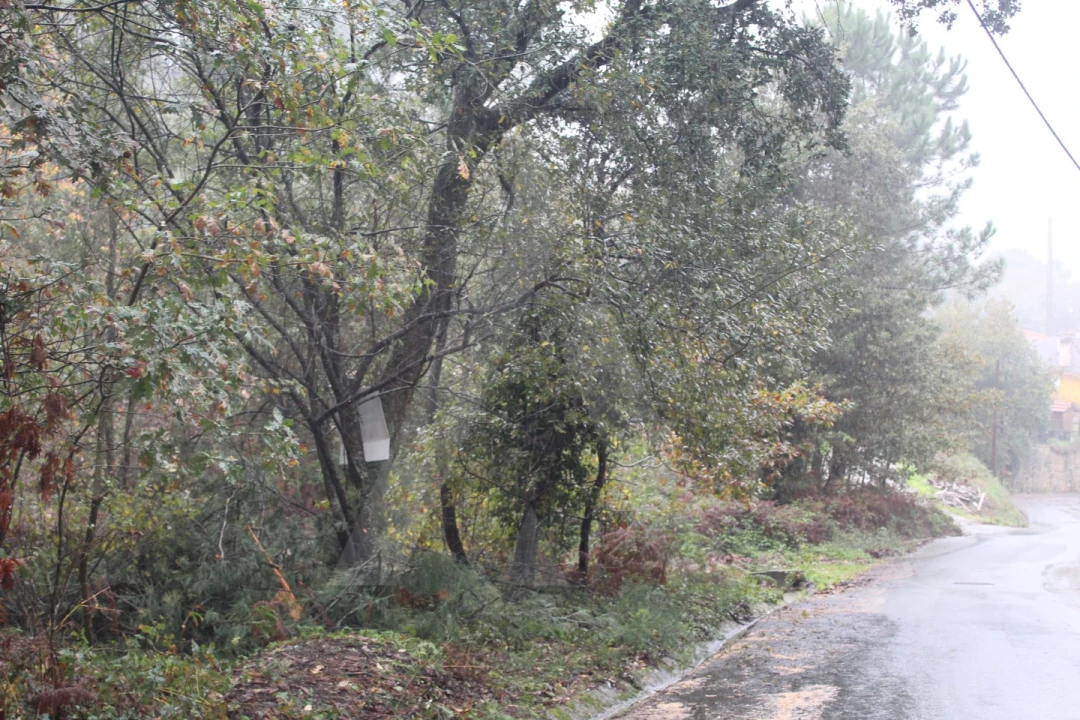 Terreno para Venda em Sever do Vouga Foto 11