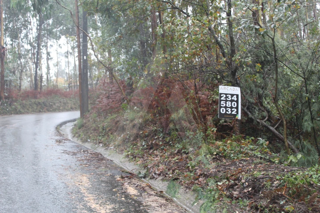 Terreno para Venda em Sever do Vouga Foto 1