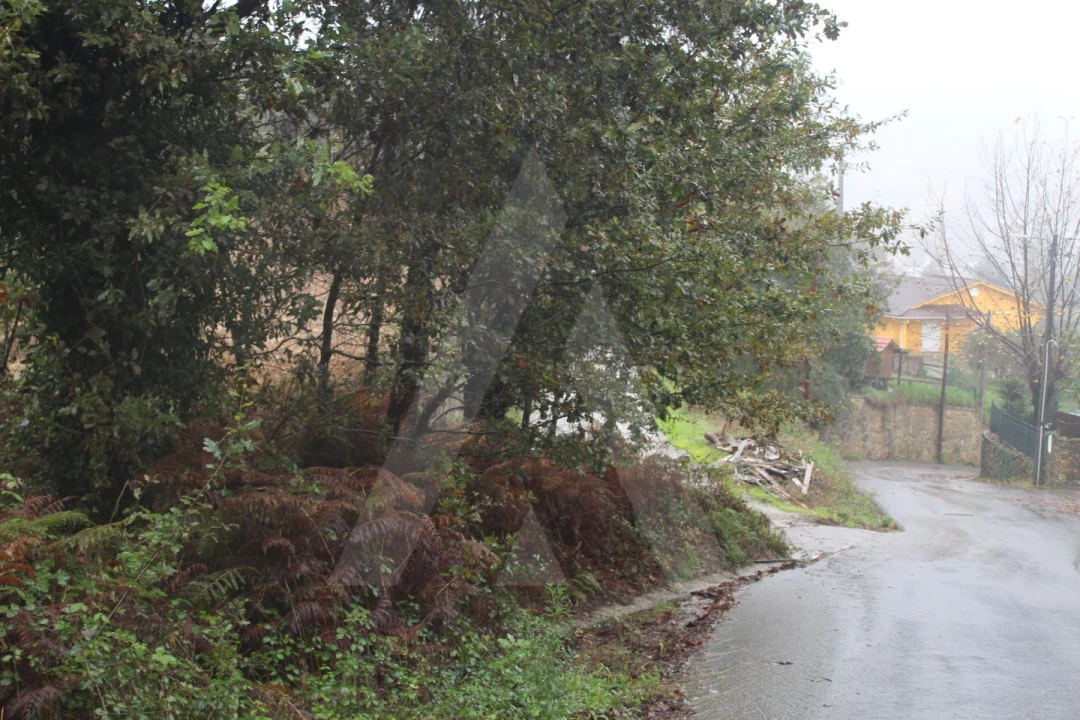 Terreno para Venda em Sever do Vouga Foto 15
