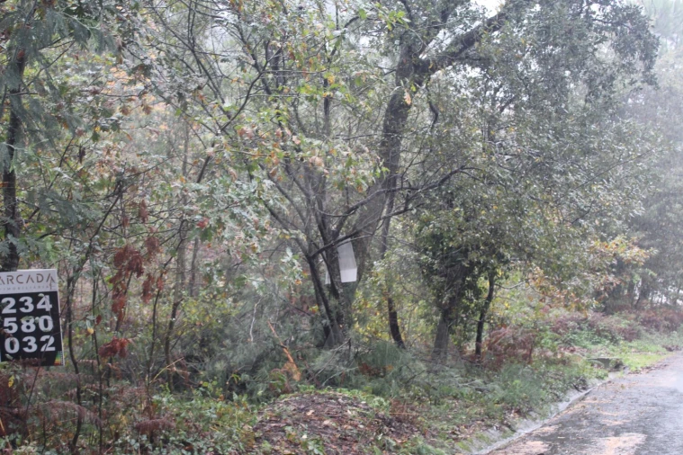 Terreno para Venda em Sever do Vouga Foto 4