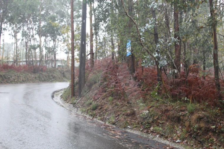 Terreno para Venda em Sever do Vouga Foto 5