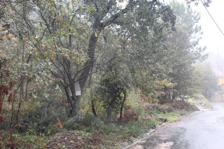 Terreno para Venda em Sever do Vouga Foto 11