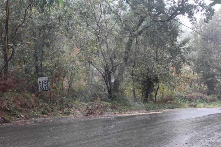 Terreno para Venda em Sever do Vouga Foto 12