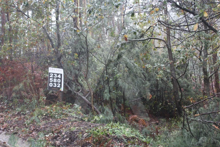 Terreno para Venda em Sever do Vouga Foto 13