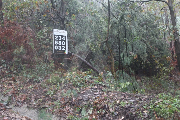 Terreno para Venda em Sever do Vouga Foto 16