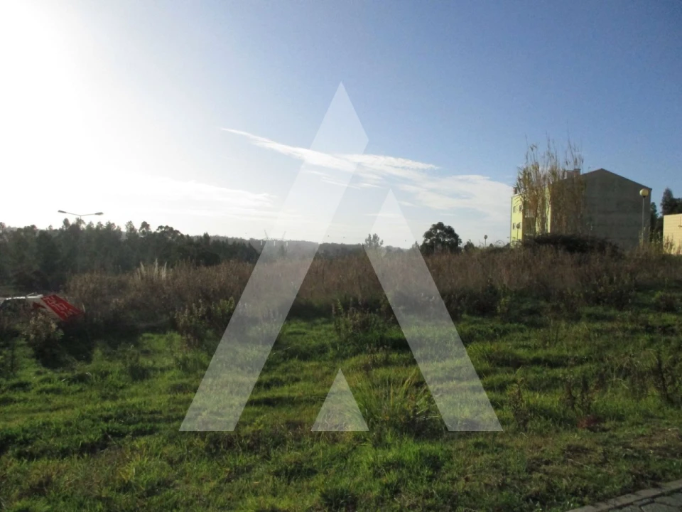Terreno para Venda em Oliveira do Bairro Foto 1