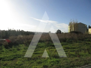 Terreno para Venda em Oliveira do Bairro
