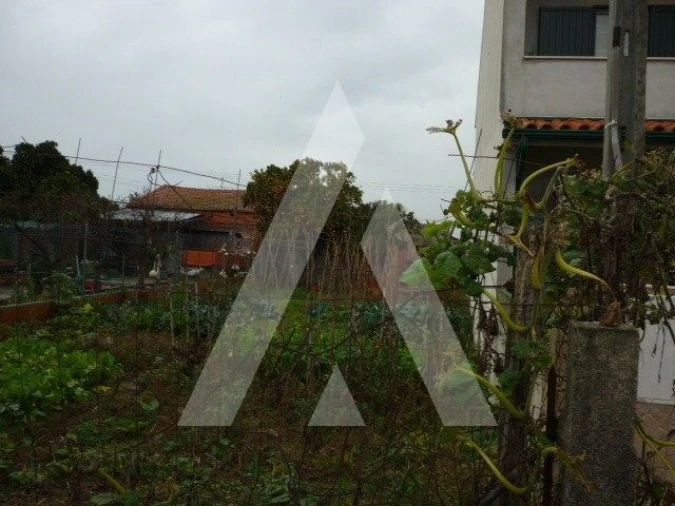 Terreno para Venda em Palhaça Foto 2