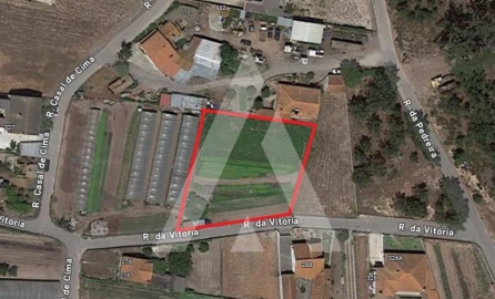 Terreno para Venda em Monte Redondo e Carreira