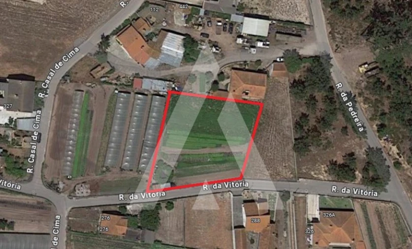 Terreno para Venda em Monte Redondo e Carreira Foto 1