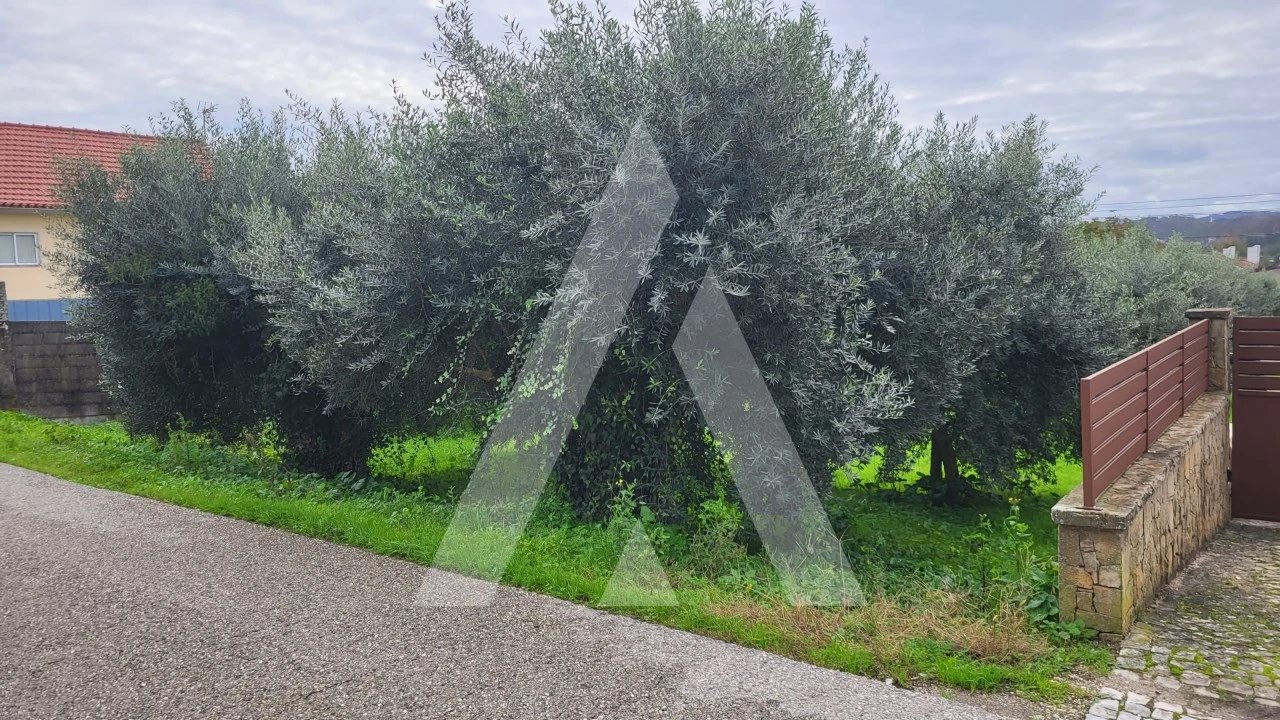 Terreno para Venda em Caranguejeira Foto 2