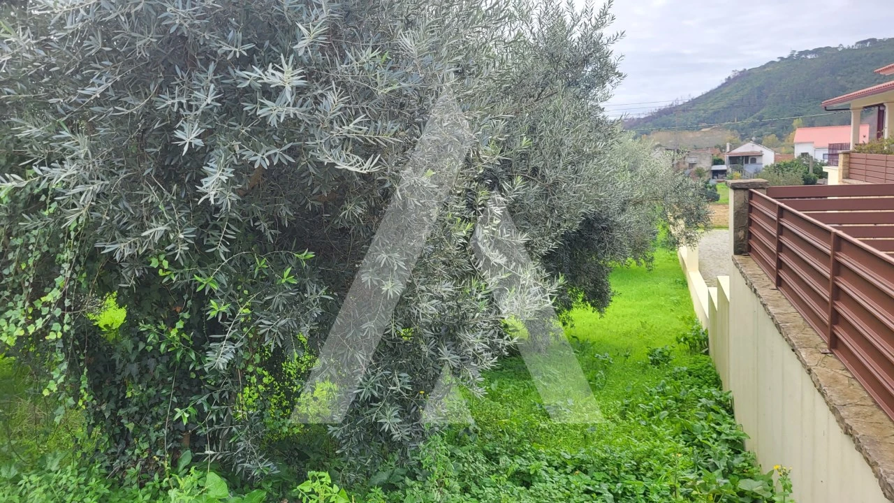 Terreno para Venda em Caranguejeira Foto 3