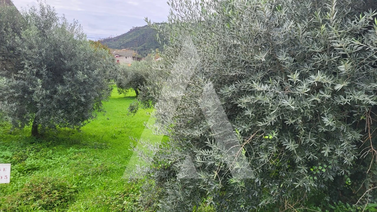 Terreno para Venda em Caranguejeira Foto 6