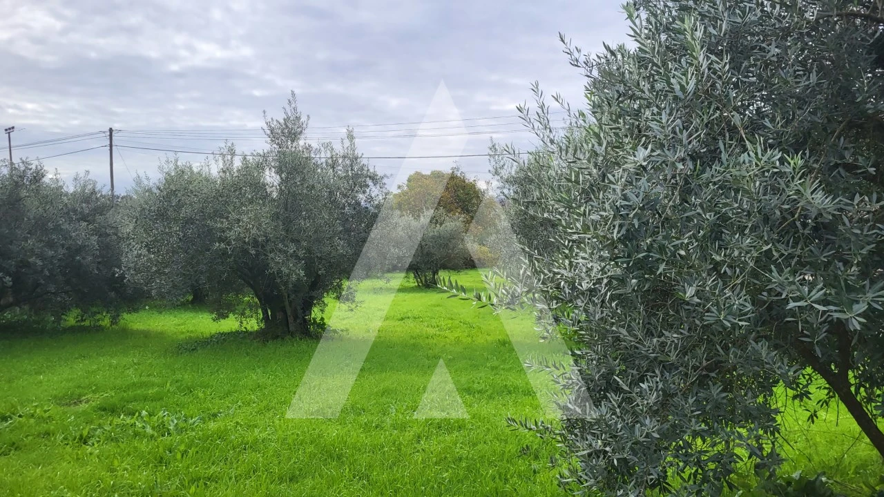 Terreno para Venda em Caranguejeira Foto 8