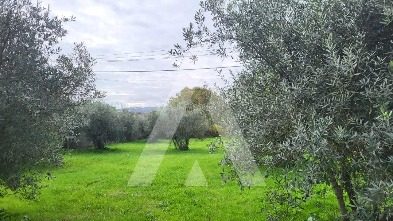Terreno para Venda em Caranguejeira Foto 9