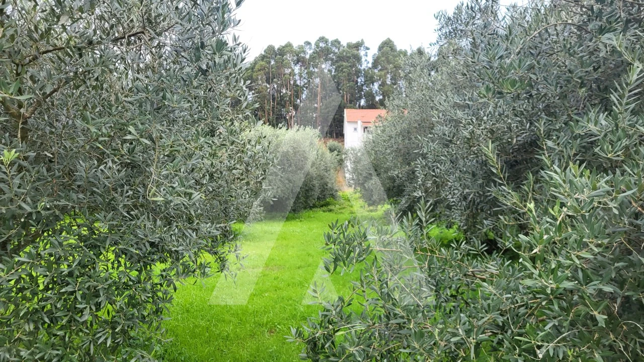 Terreno para Venda em Caranguejeira Foto 14
