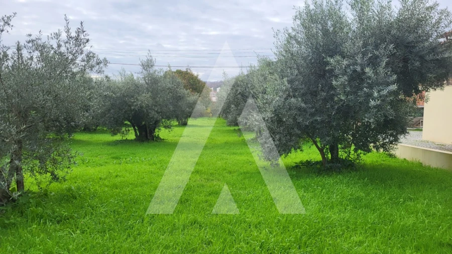 Terreno para Venda em Caranguejeira Foto 7