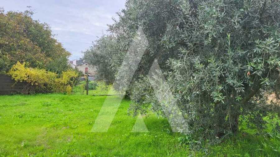 Terreno para Venda em Caranguejeira Foto 13