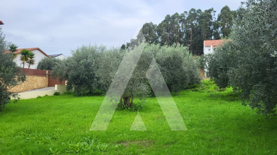 Terreno para Venda em Caranguejeira Foto 15