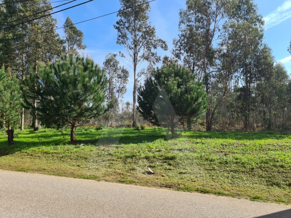 Terreno para Venda em Macinhata do Vouga Foto 6