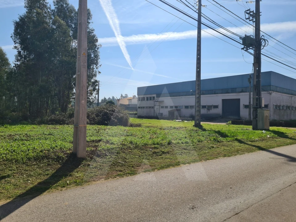 Terreno para Venda em Macinhata do Vouga Foto 5